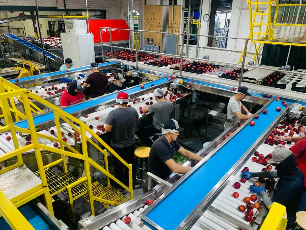河南晟之煊商贸日用百货批发品类结构与终端适配方案正文配图 1
